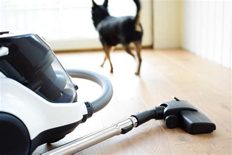 Best Vacuums for Pet Hair .